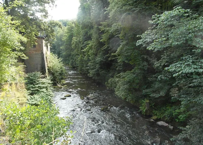 Alloggio in famiglia Xxl *