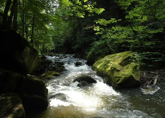 Alloggio in famiglia Xxl Pirna